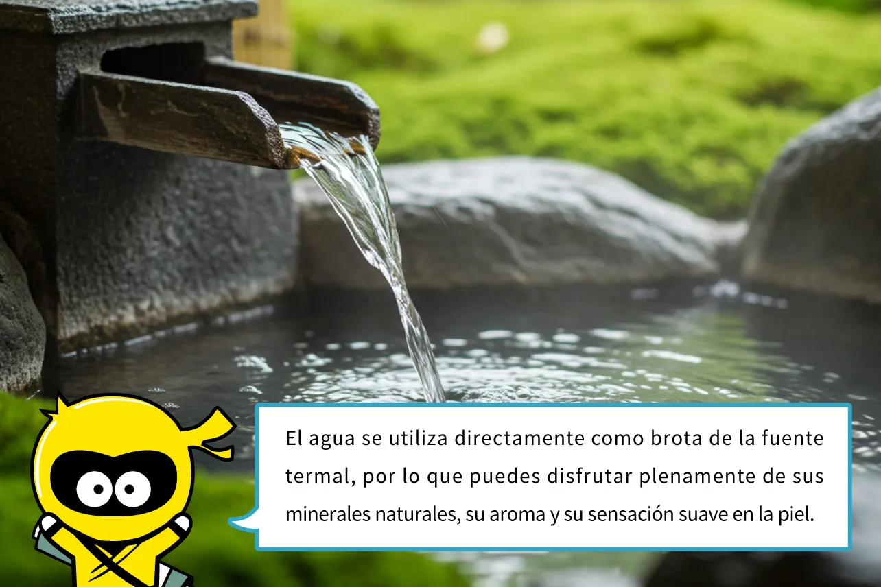 El agua se utiliza directamente como brota de la fuente termal, por lo que puedes disfrutar plenamente de sus minerales naturales, su aroma y su sensación suave en la piel.
