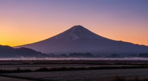どこの神社へ初詣に行く？最寄りの氏神神社がおすすめ